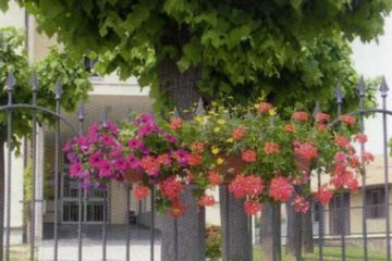 Marano Ticino Comune Fiorito - Cancellata scuola "Don Milani"